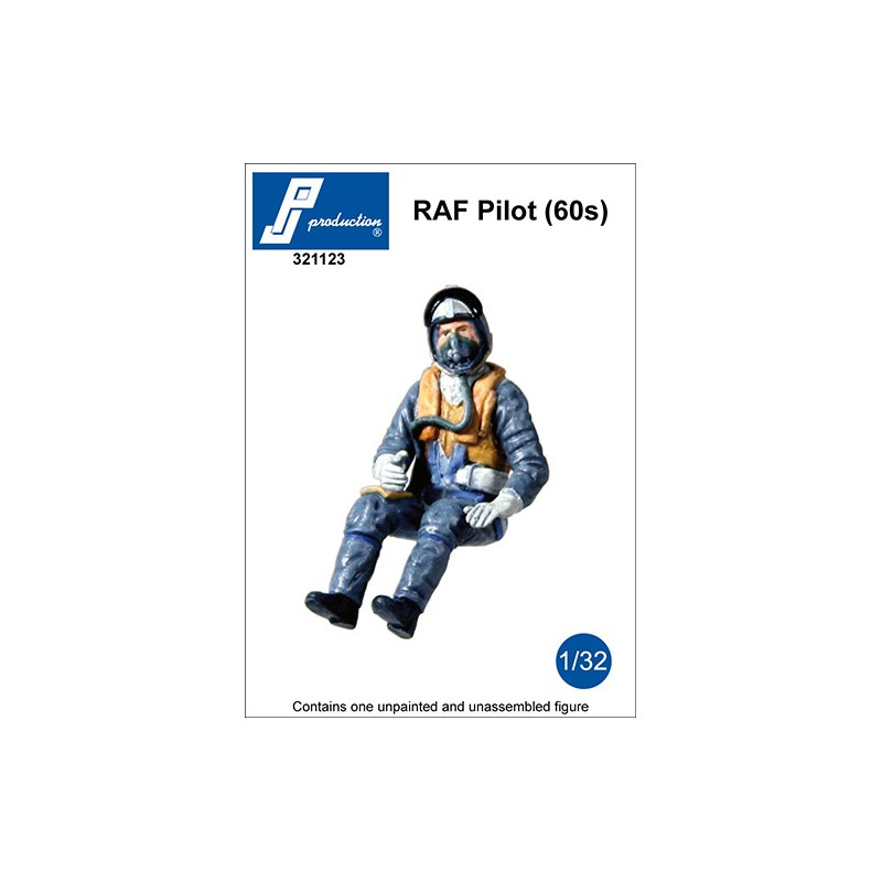 321123 - RAF Pilot (60s)