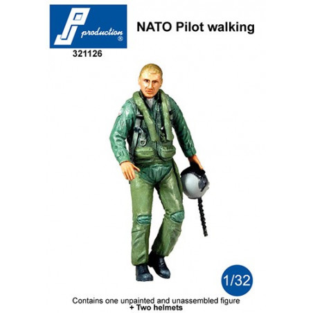 321126 - NATO Pilot walking