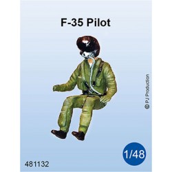481132 - F-35 Pilot seated...