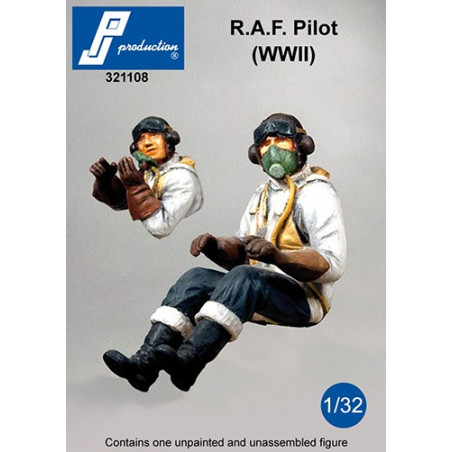 321108 -  Pilote RAF assis (2GM)